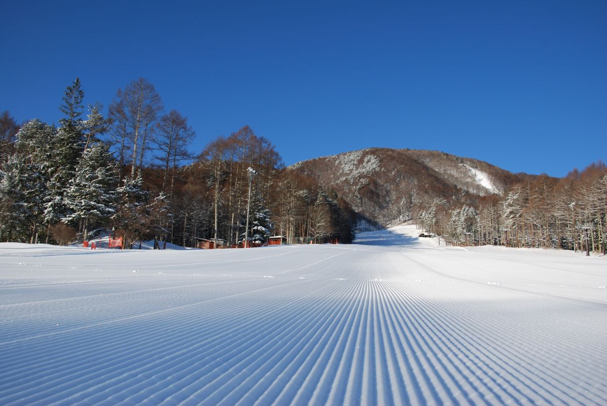 雪景色 富士見パノラマリゾート 総合スノー施設 スキー場 長野県富士見町